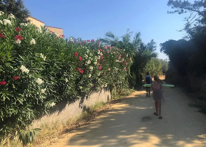 דירה La Corse Tranquille 300m De La Et Piscine Linguizzetta